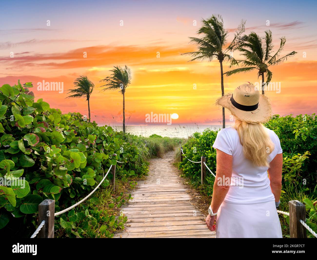 Woman watching the Sunrise, Beautiful Beach Path framed by Palmtrees