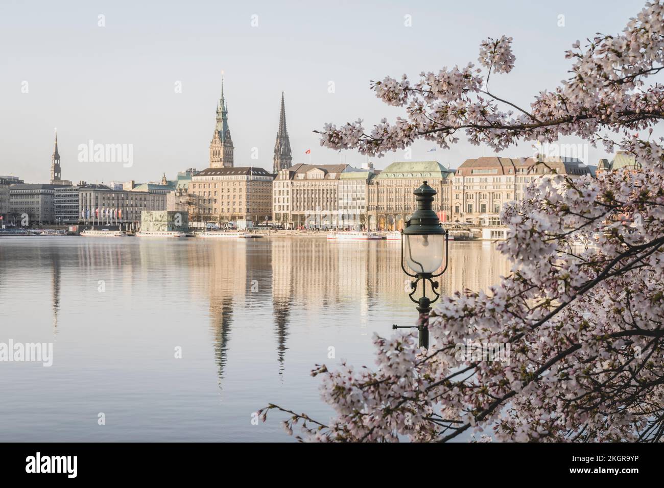 Germany, Hamburg, Inner Alster Lake in spring with street light and cherry blossom branches in foreground Stock Photo