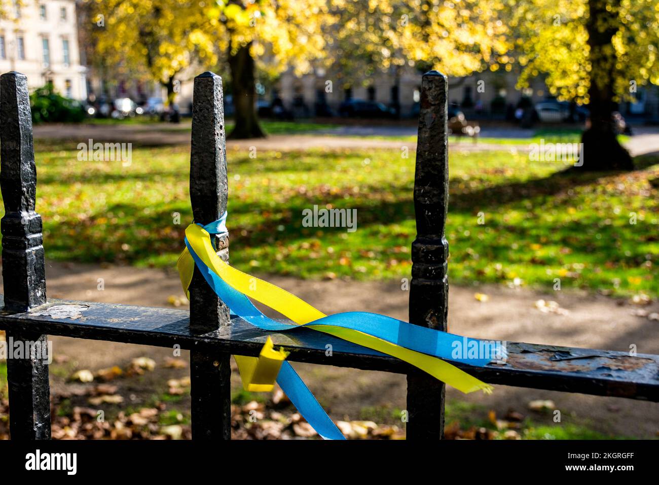 Ukraine Ribbon Support Ribbons showing support for Ukraine in Queen Square, Bath, Somerset, UK ...