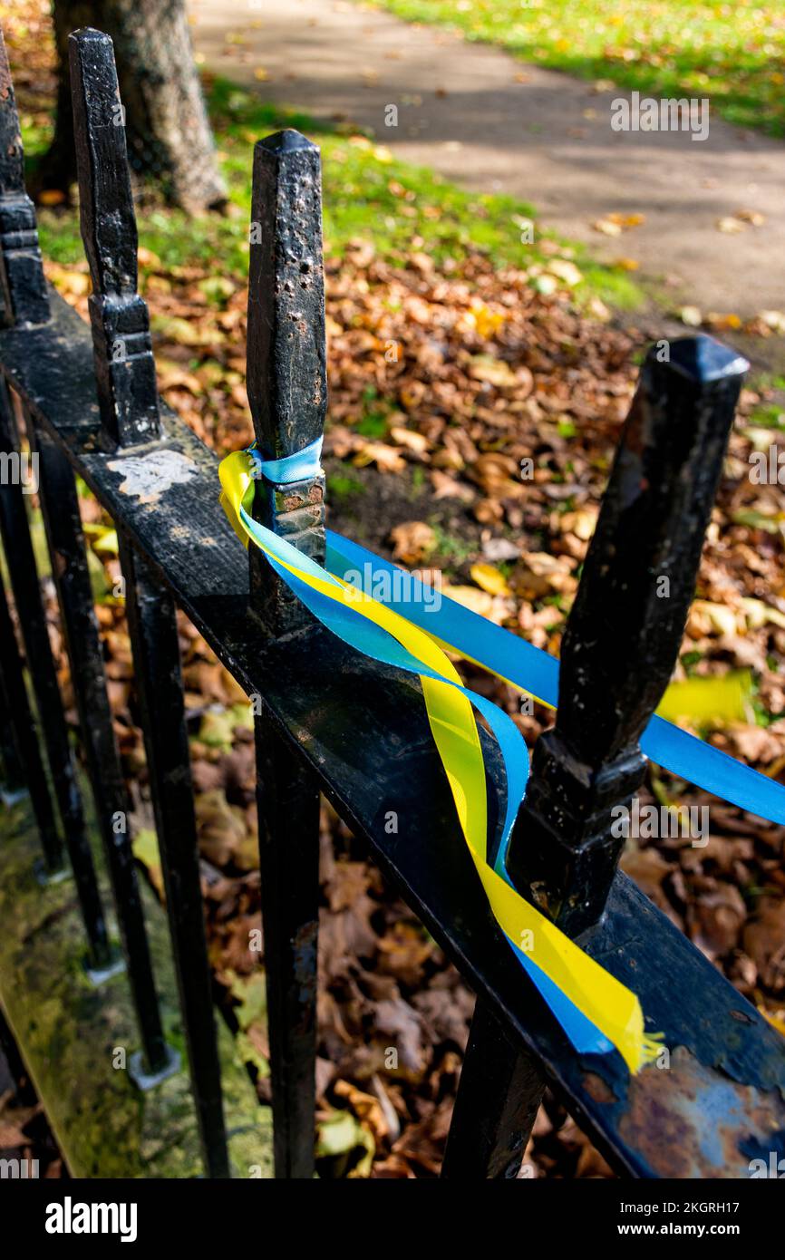 Ribbons showing support for Ukraine in Queen Square, Bath, Somerset, UK Stock Photo