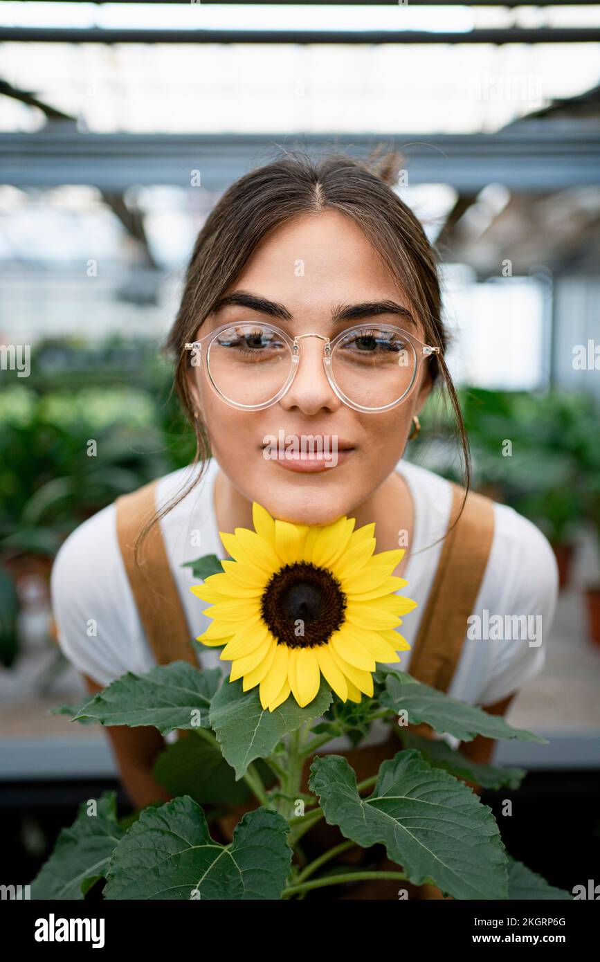 Smiling gardener with sunflower standing in plant nursery Stock Photo