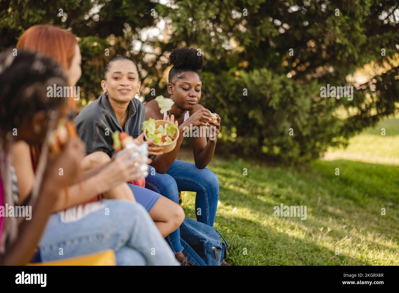 Picnic park african american hi-res stock photography and images - Alamy