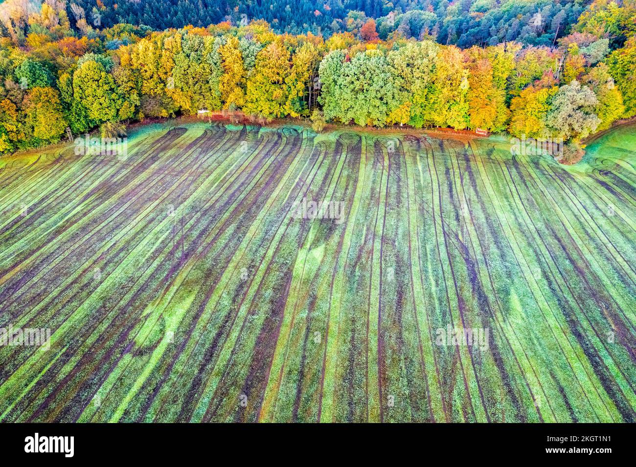 Aerial view colourful autumn forest hi-res stock photography and images ...