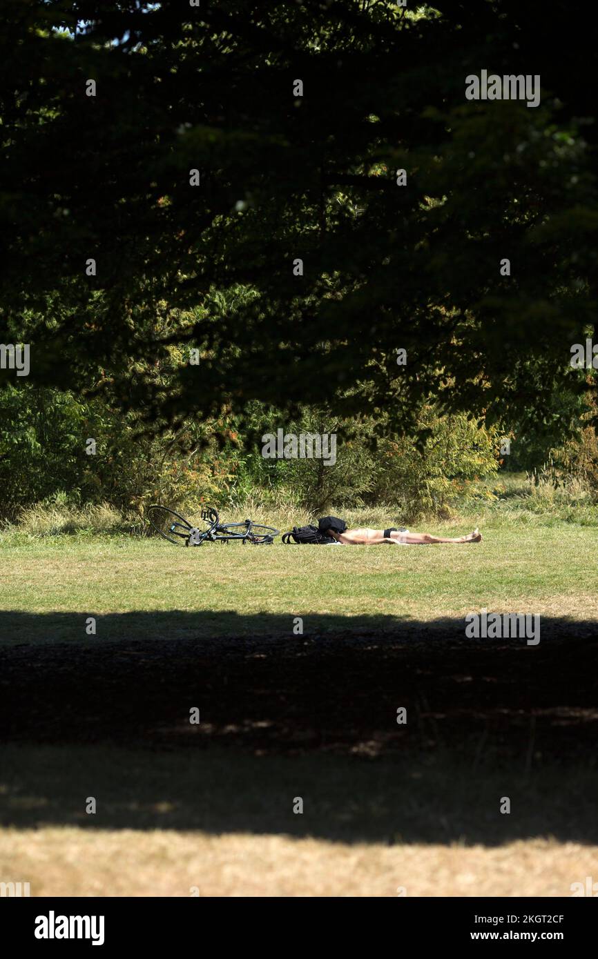A person sunbathes next to the shade of a tree in a parched Regent’s Park in London. Stock Photo