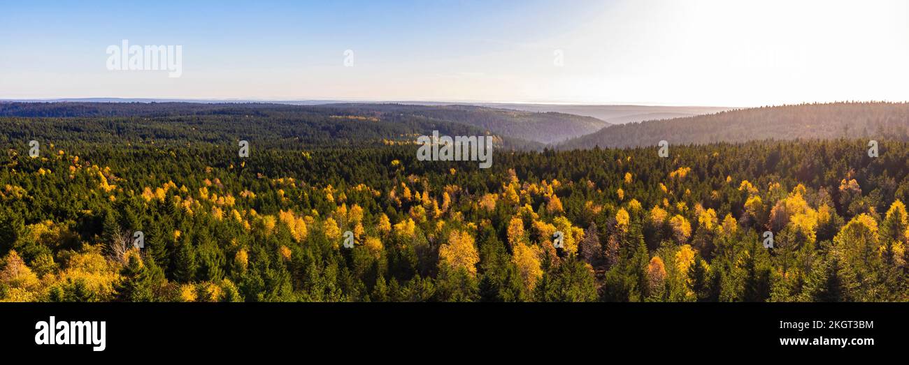 Germany, Baden-Wurttemberg, Kaltenbronn, Panorama of spruce woodland in Black Forest range Stock Photo