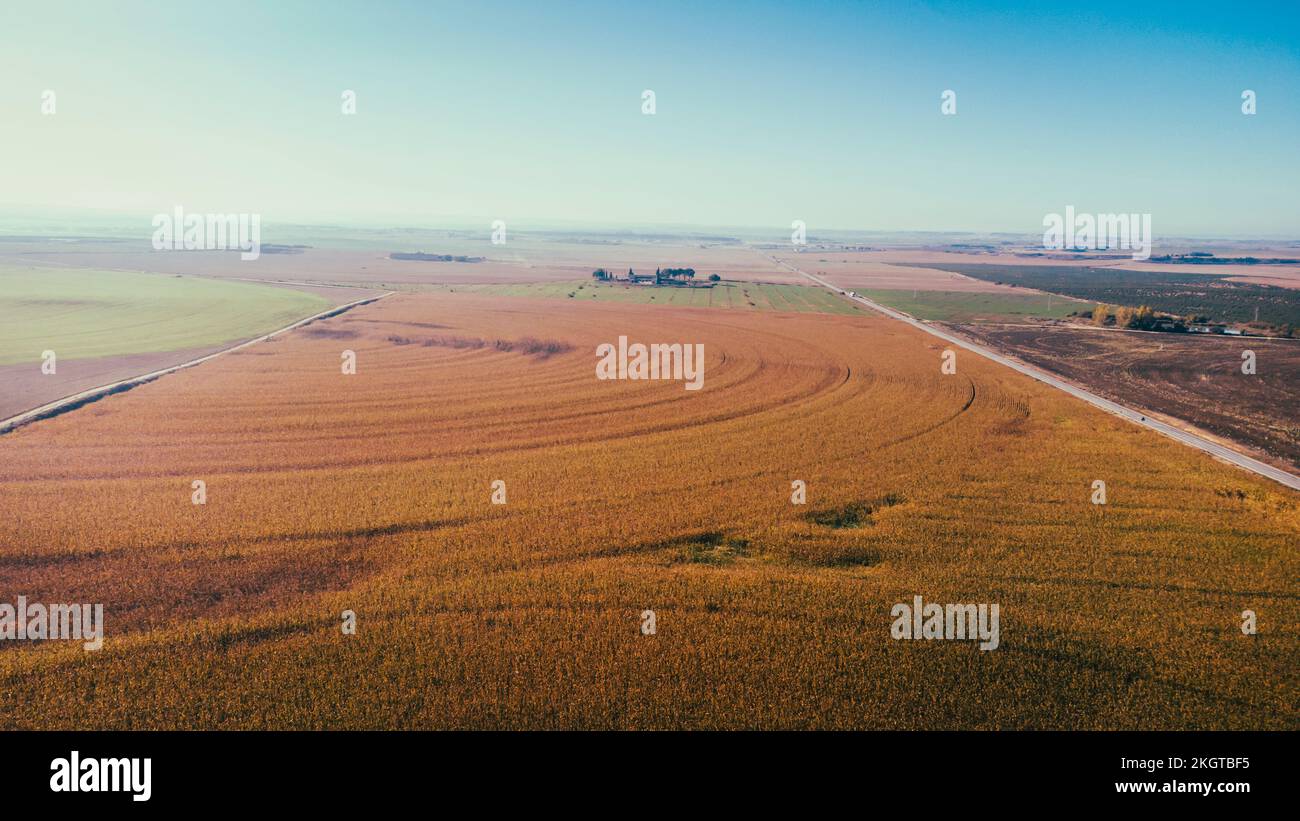 Dry corn field hi-res stock photography and images - Alamy