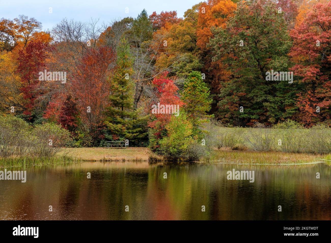 Landscape autumn scene at Little Glade Mill Pond along the Blue Ridge ...