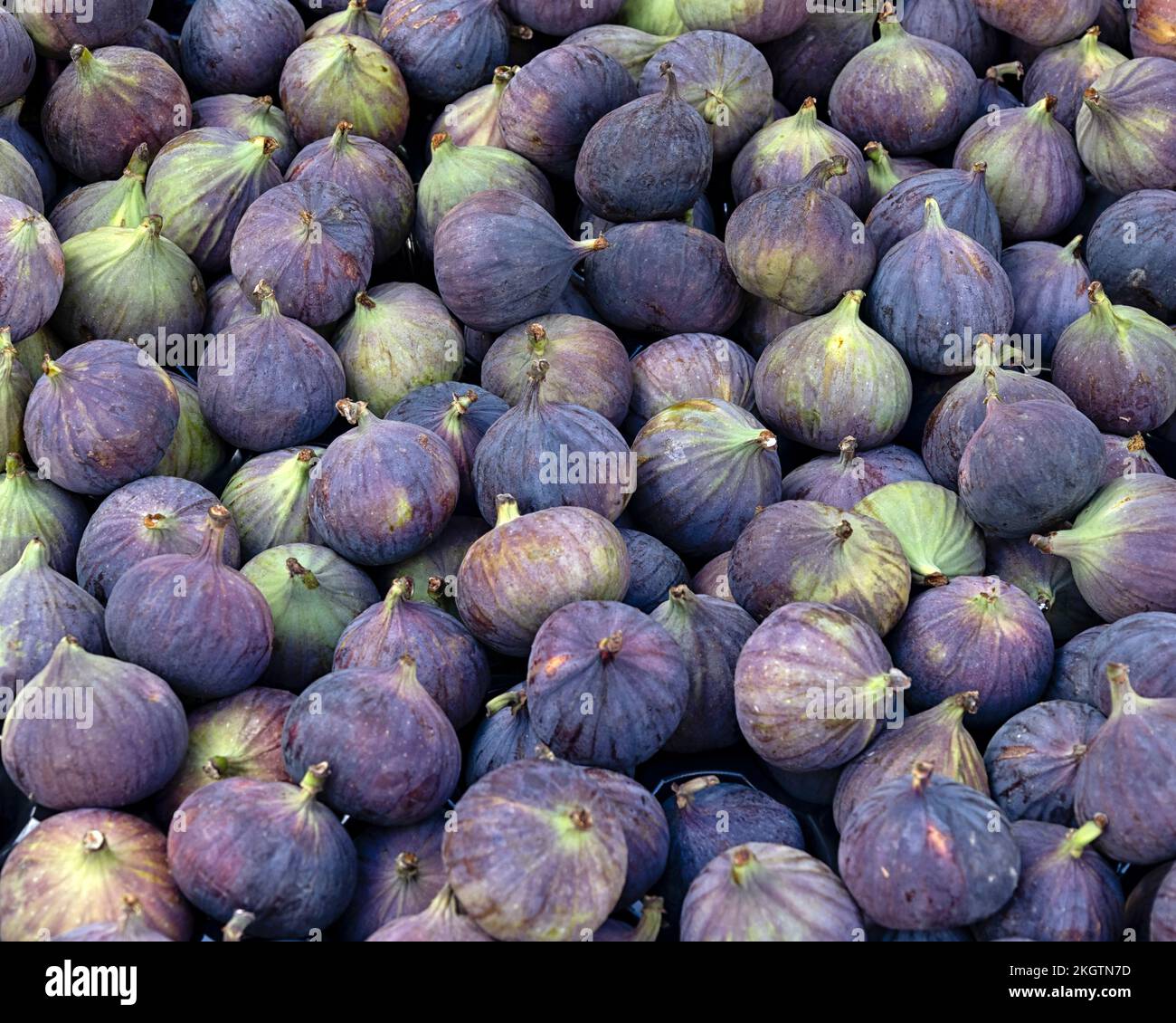 Fresh ripe figs for sale at a greengrocer's stall at a food market