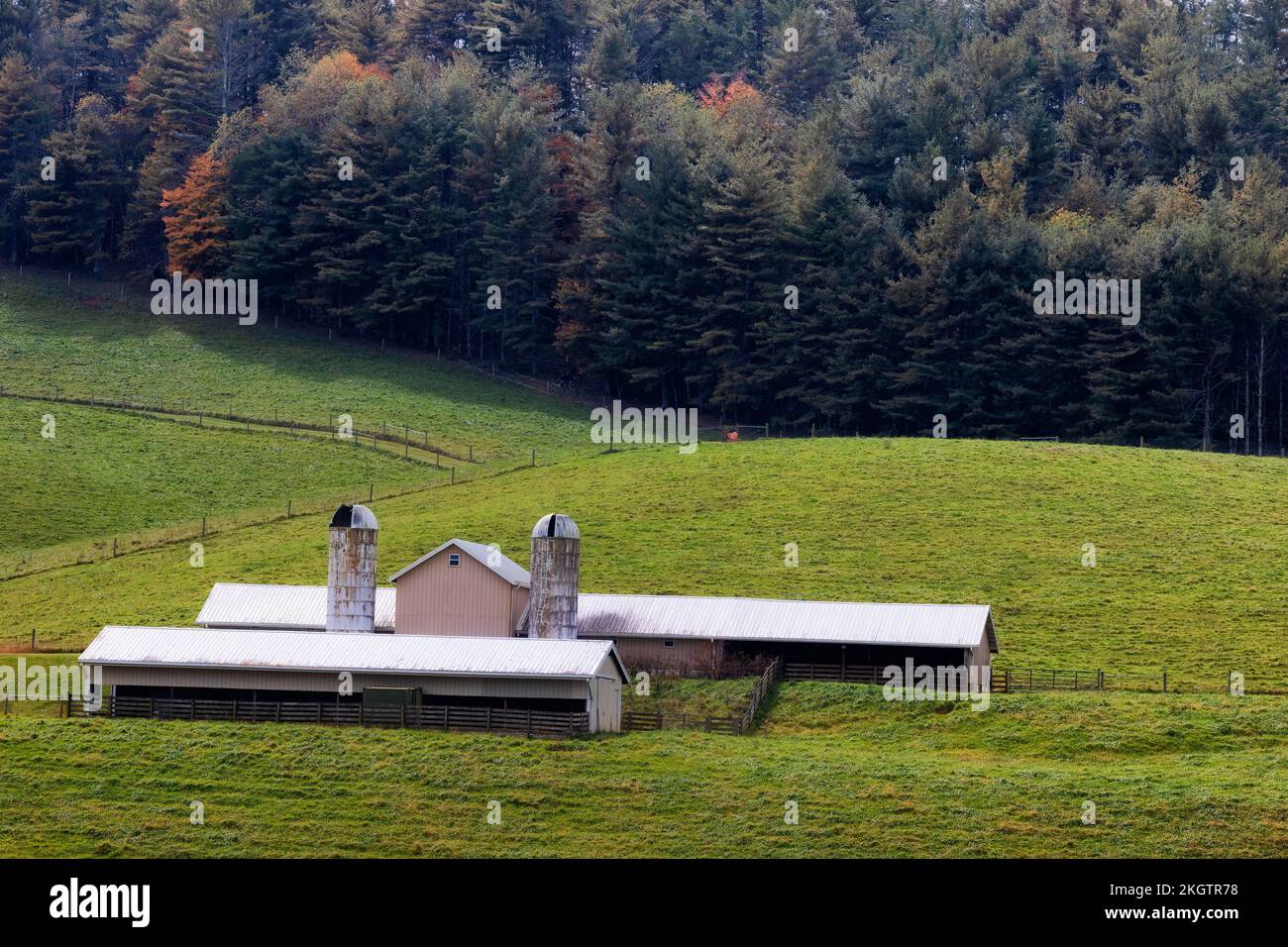 A dairy farm barn sits on rolling hills seen from the scenic Blue Ridge ...