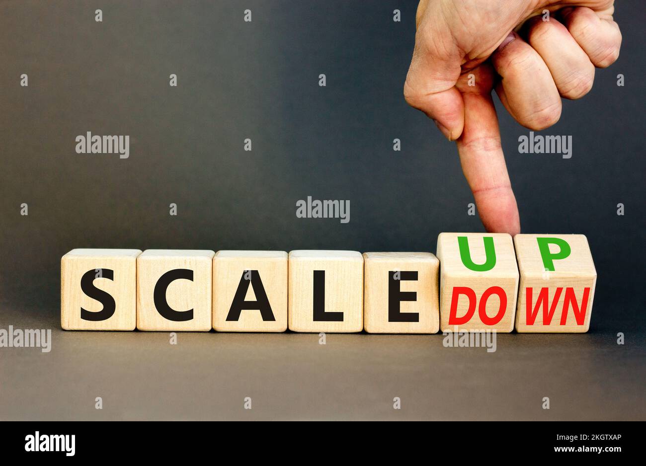 Scale up or down symbol. Concept words Scale up Scale down wooden cubes