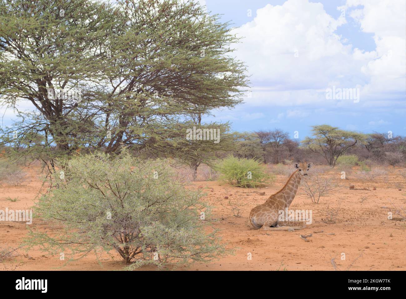 Unmissable hi-res stock photography and images - Alamy