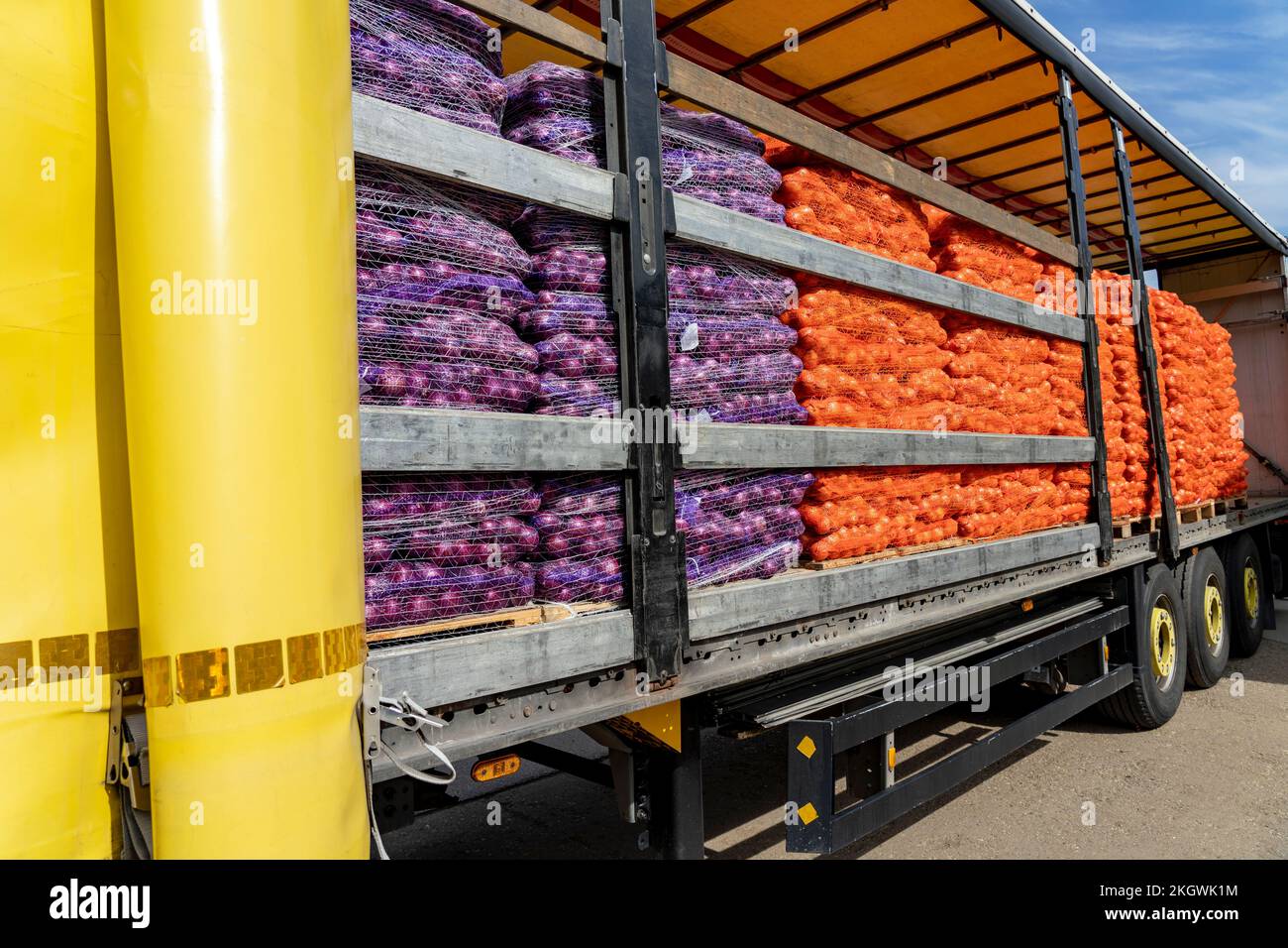 Onion Harvest Campaign 2022. Preparing Packages of Sorted Onion for