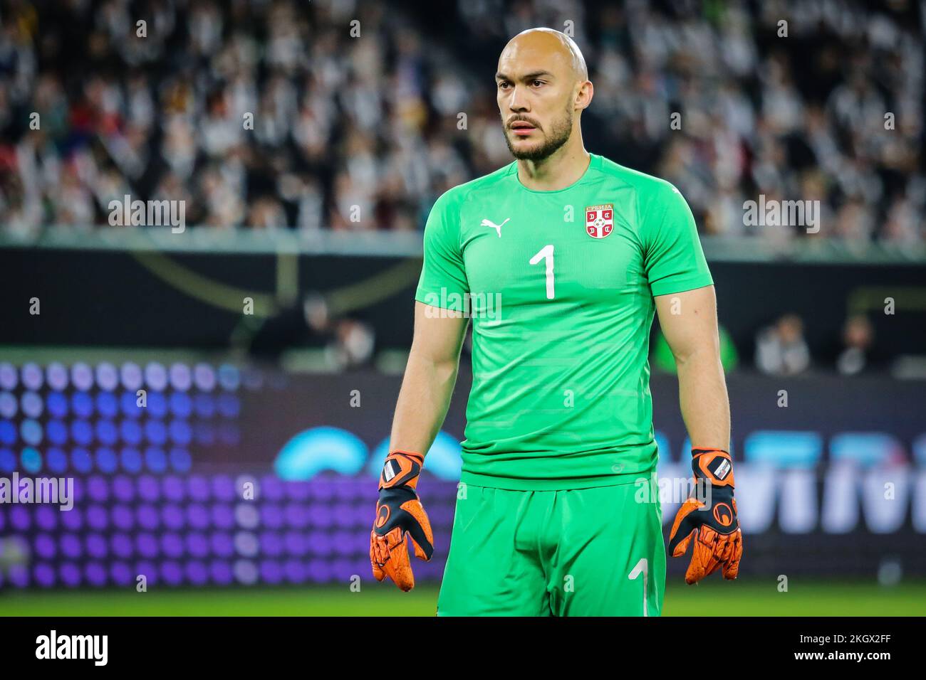 Wolfsburg, Germany, March 20, 2019: Serbia national team goalkeeper Marko Dmitrovic during the international friendly game between Germany and Serbia Stock Photo