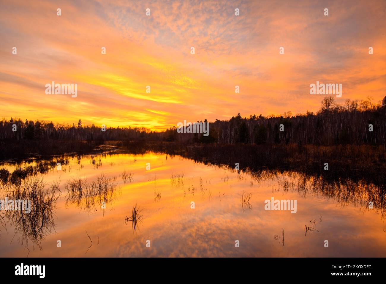 Reflections in a beaver pond at sunset, Greater Sudbury, Ontario