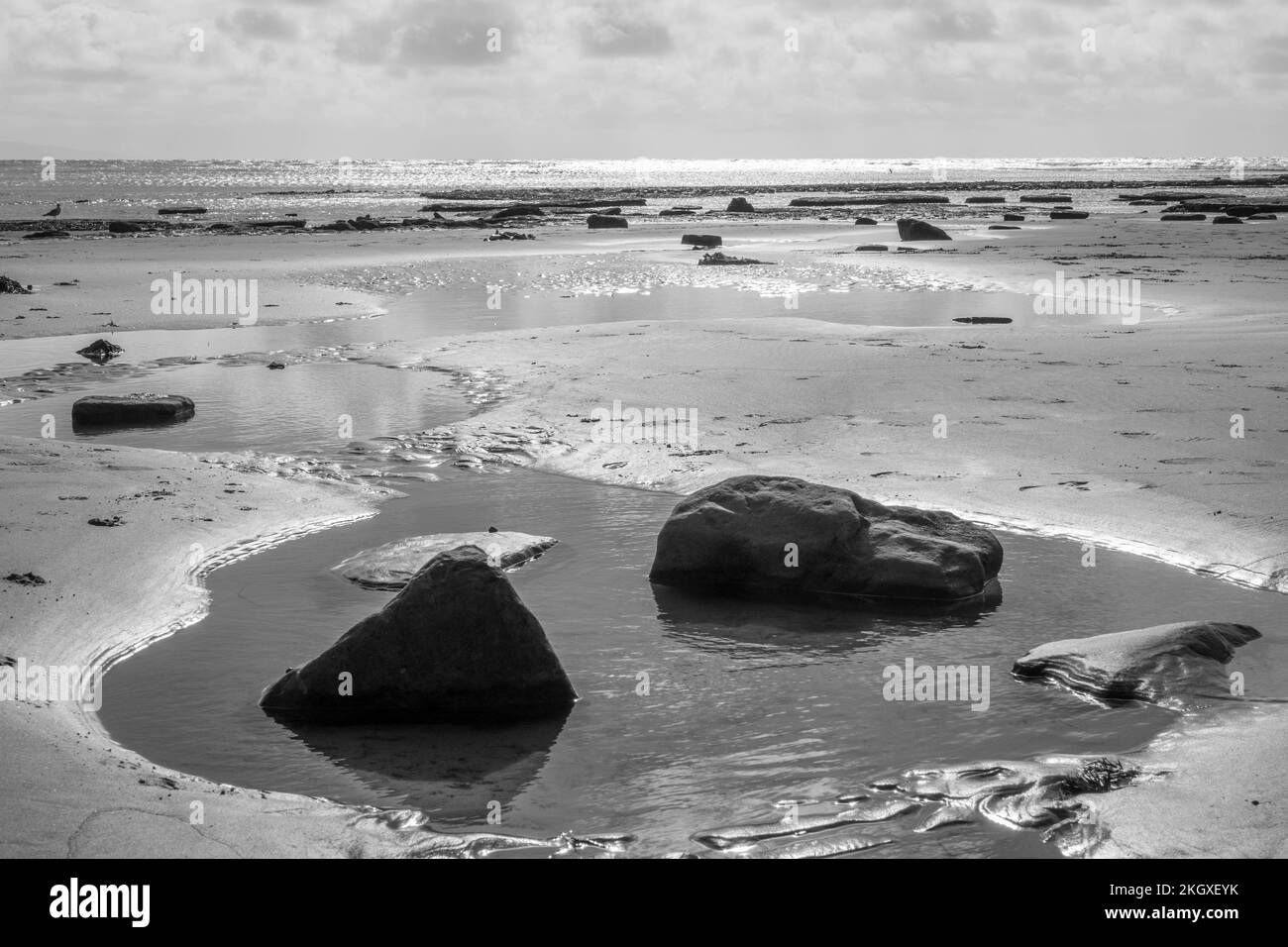 black and white of rock pools on a beautiful deserted sandy beach in Lyme Regis Dorset England Jurassic Coast Stock Photo