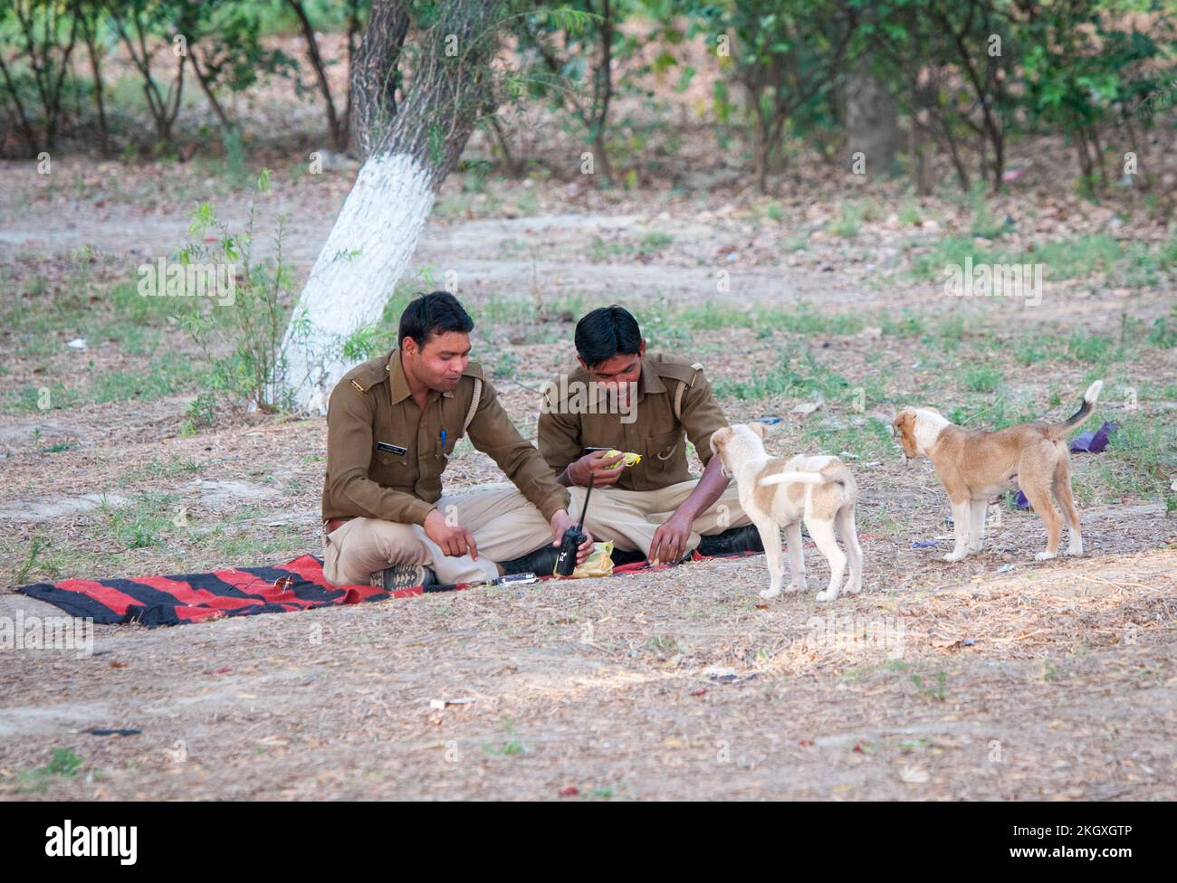Indian security guards resting eating and feeding homeless dogs. Agra India rajasthan Stock Photo