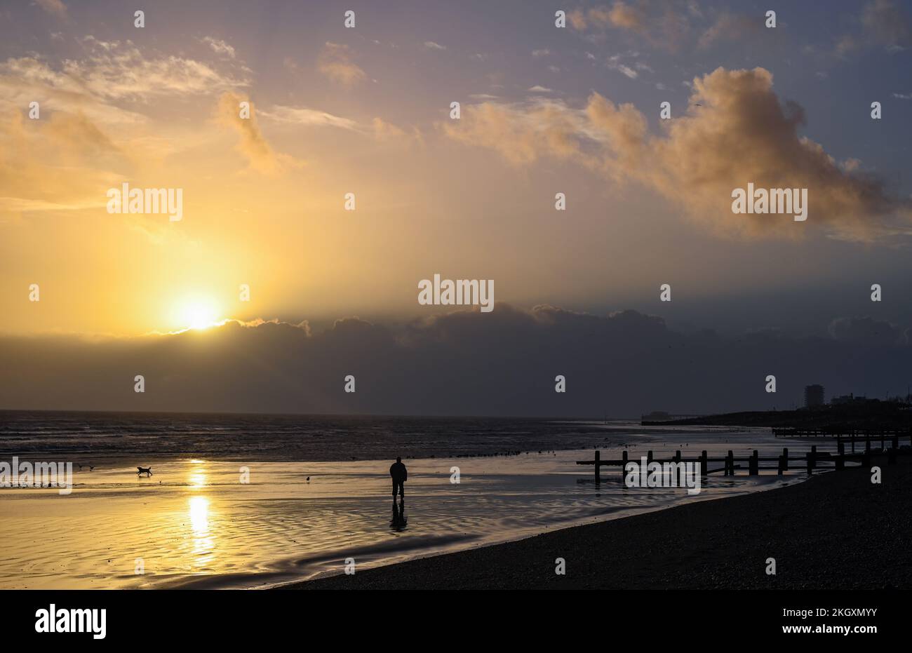 Worthing UK 23rd November 2022 - The sun hides behind dark clouds as a dog walker enjoys a late afternoon stroll along Lancing beach at low tide after a day of sunshine and heavy showers  : Credit Simon Dack / Alamy Live News Stock Photo