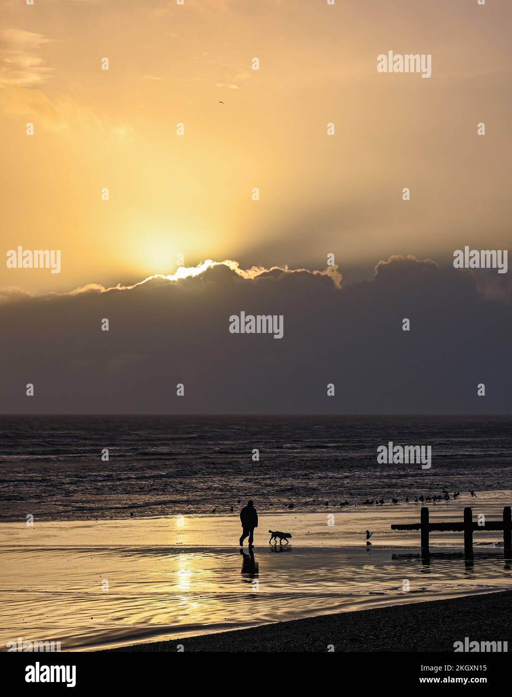 Worthing UK 23rd November 2022 - The sun hides behind dark clouds as a dog walker enjoys a late afternoon stroll along Lancing beach at low tide after a day of sunshine and heavy showers  : Credit Simon Dack / Alamy Live News Stock Photo