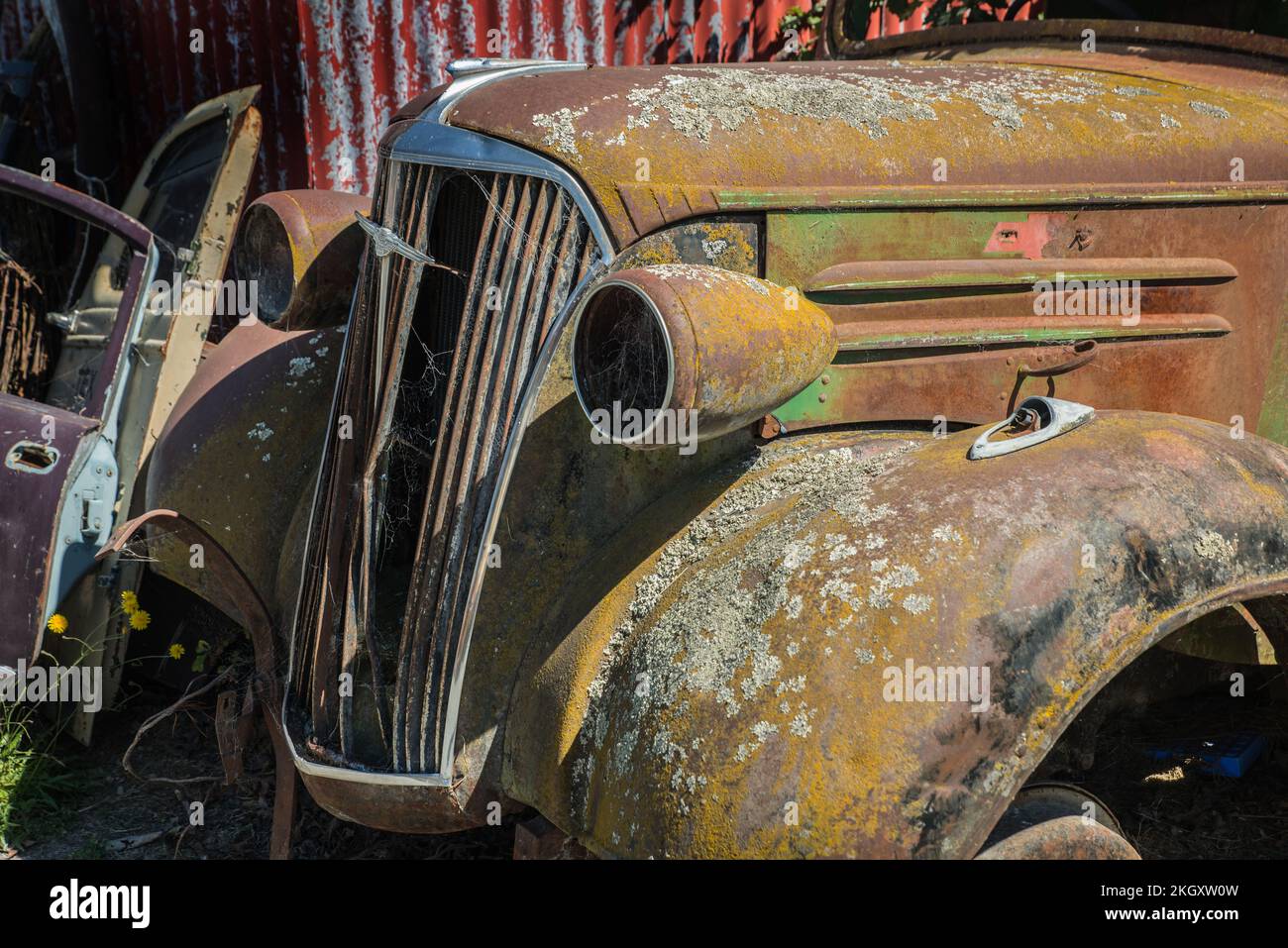 Anold rusty 1930s Chevrolet truck, complete with lichen and cobwebs in a scrapyard Stock Photo