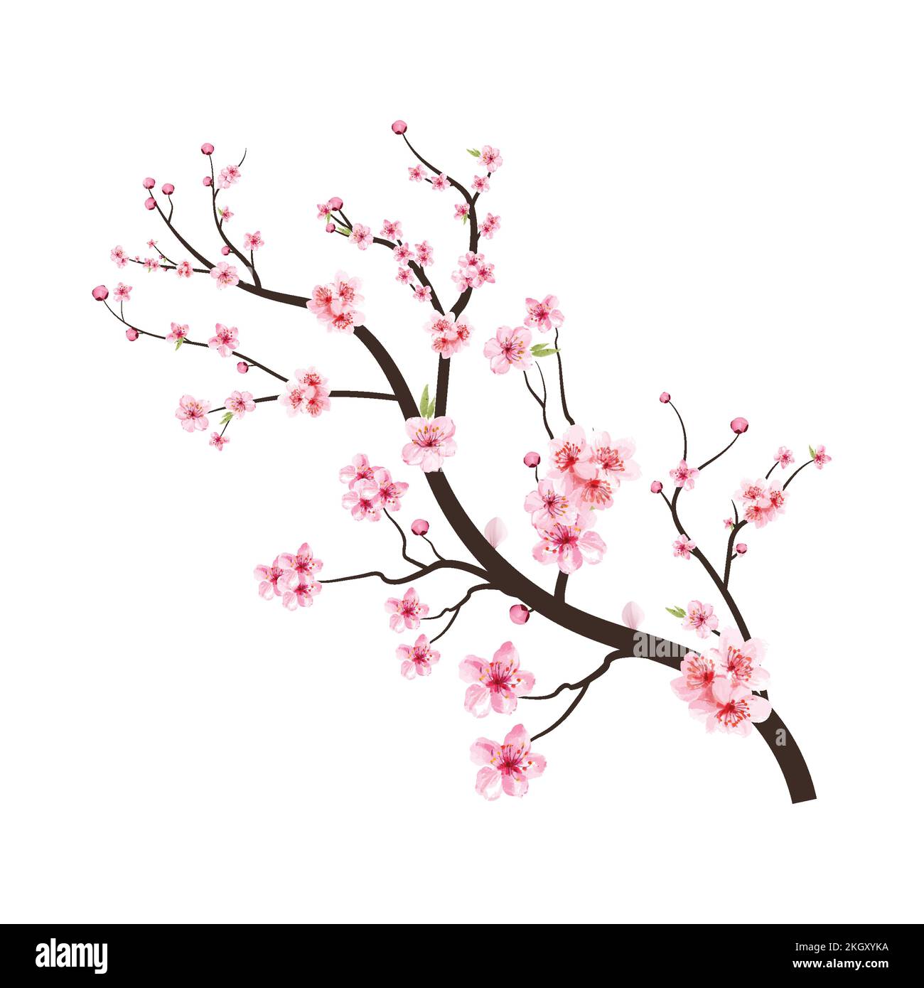 Bending flower branch Stock Vector Images - Alamy