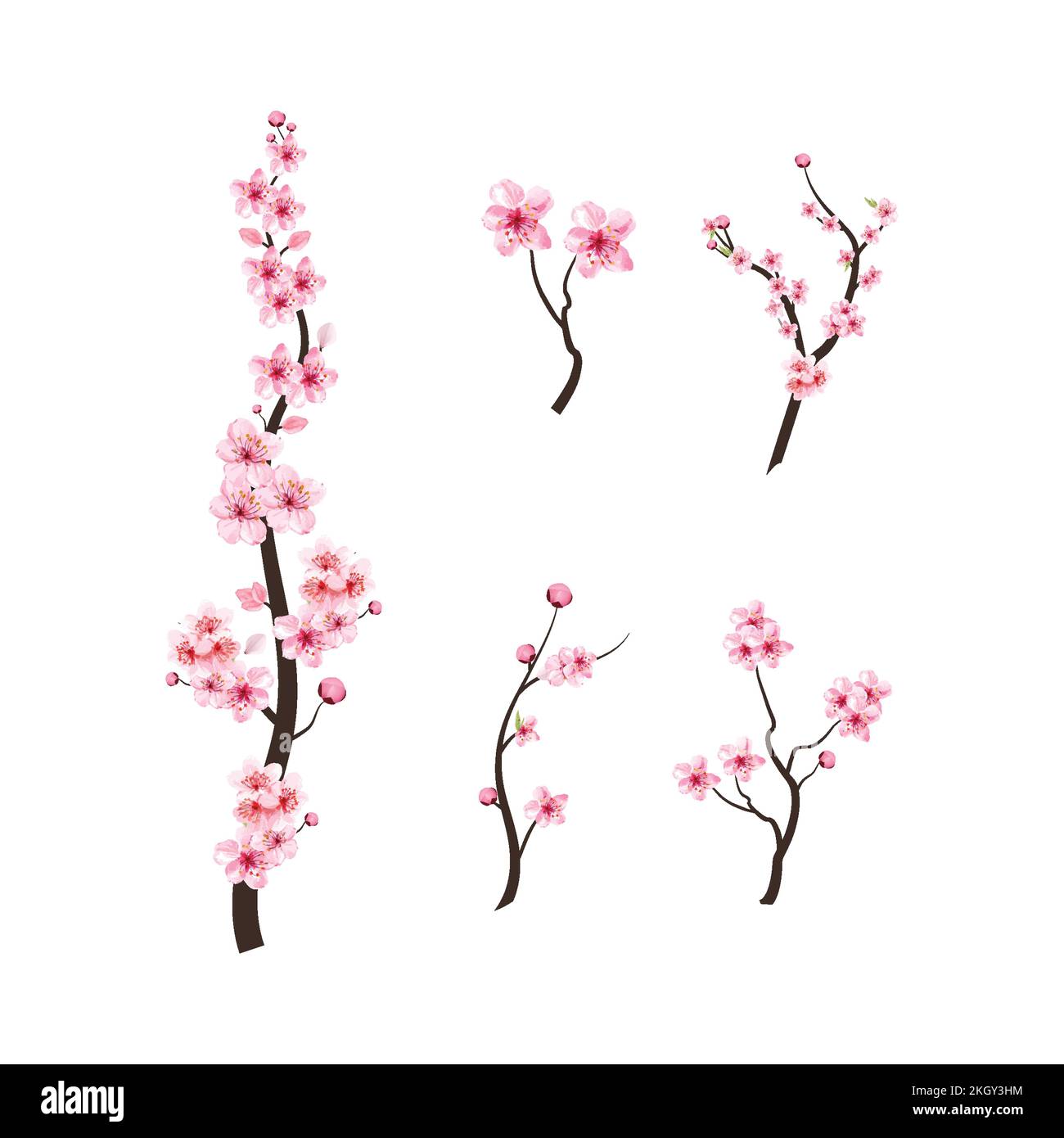 Origami: Flor de Cerezo // Cherry Blossom 