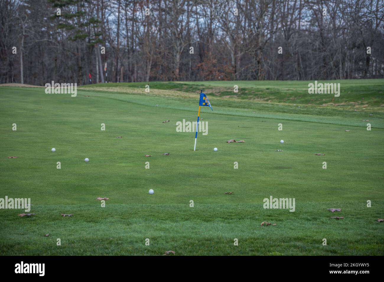 Golf course practice area putting green with golf balls on the grass with a flag in a hole outdoors in late autumn Stock Photo