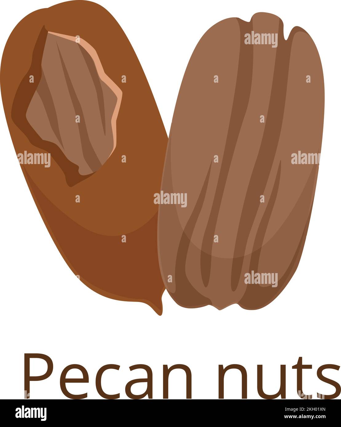 Pecan nut icon. Cartoon raw vegan snack Stock Vector Image & Art Alamy