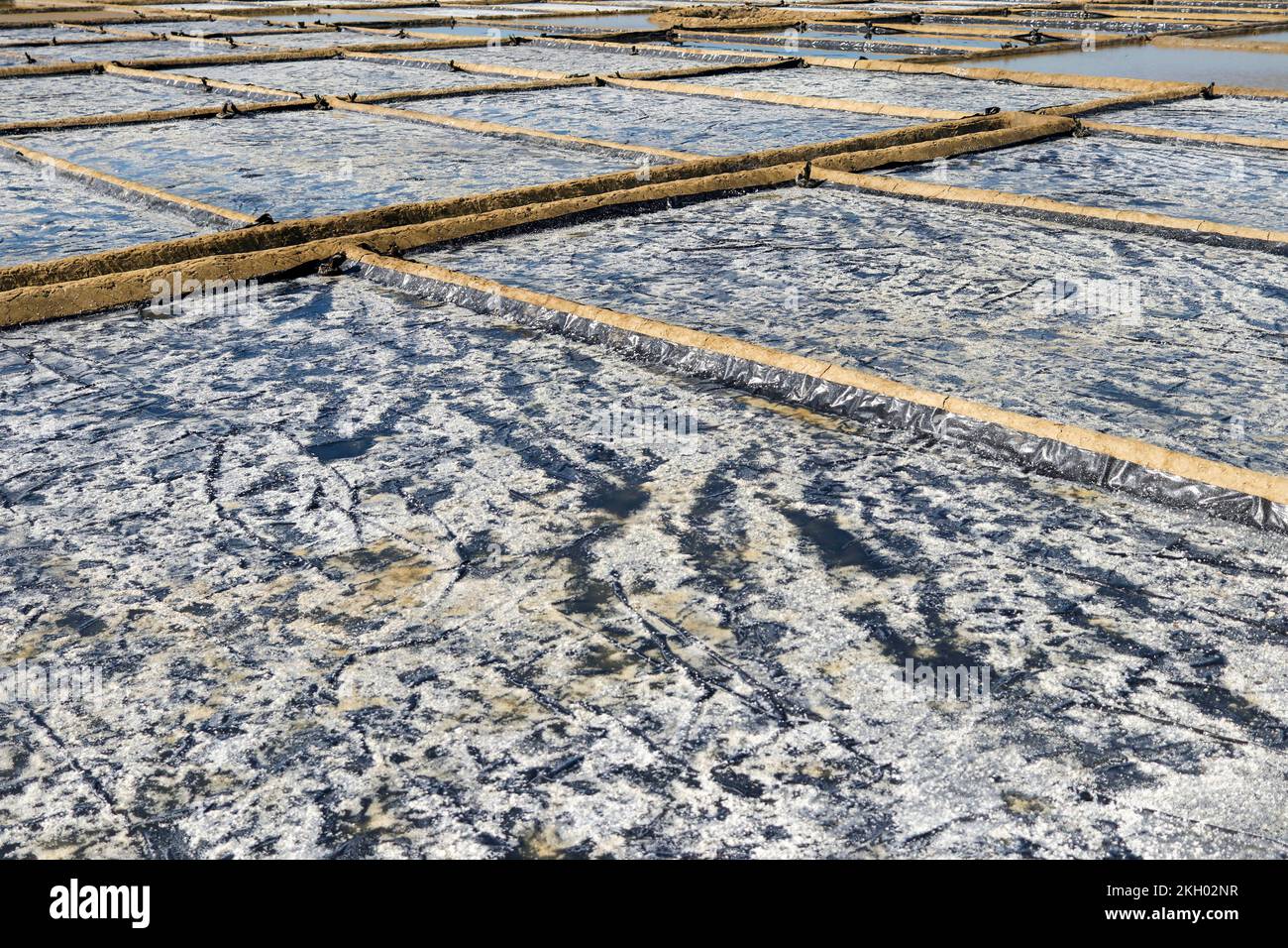 Dhaka, Dhaka, Bangladesh. 23rd Nov, 2022. Farmer works in a salt field