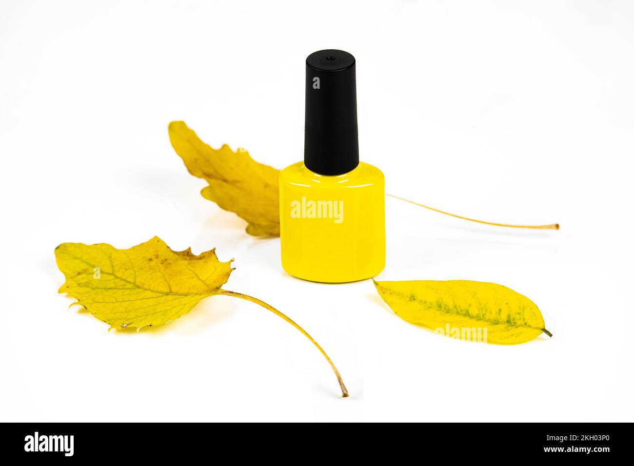Yellow nail polish and tree leaves Stock Photo - Alamy
