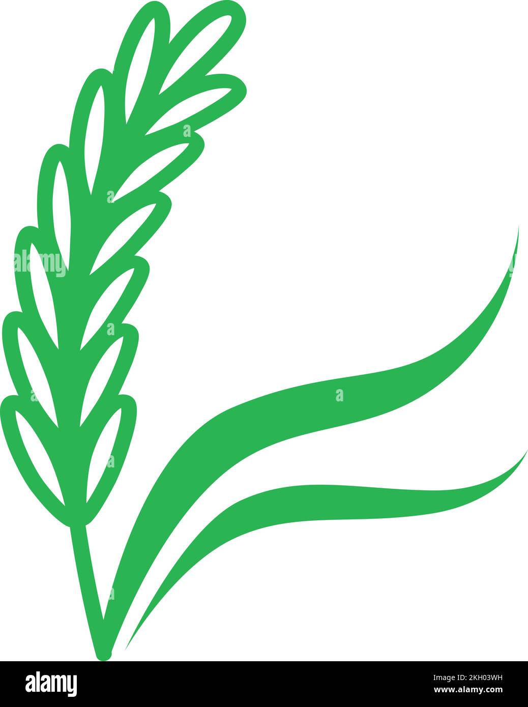 Field growing barley crop Stock Vector Images - Alamy