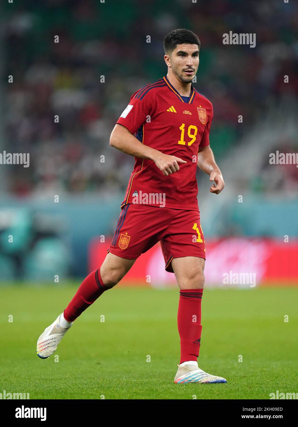 Calos Solar Spain's Carlos Soler during the FIFA World Cup Group E match at the Al ...