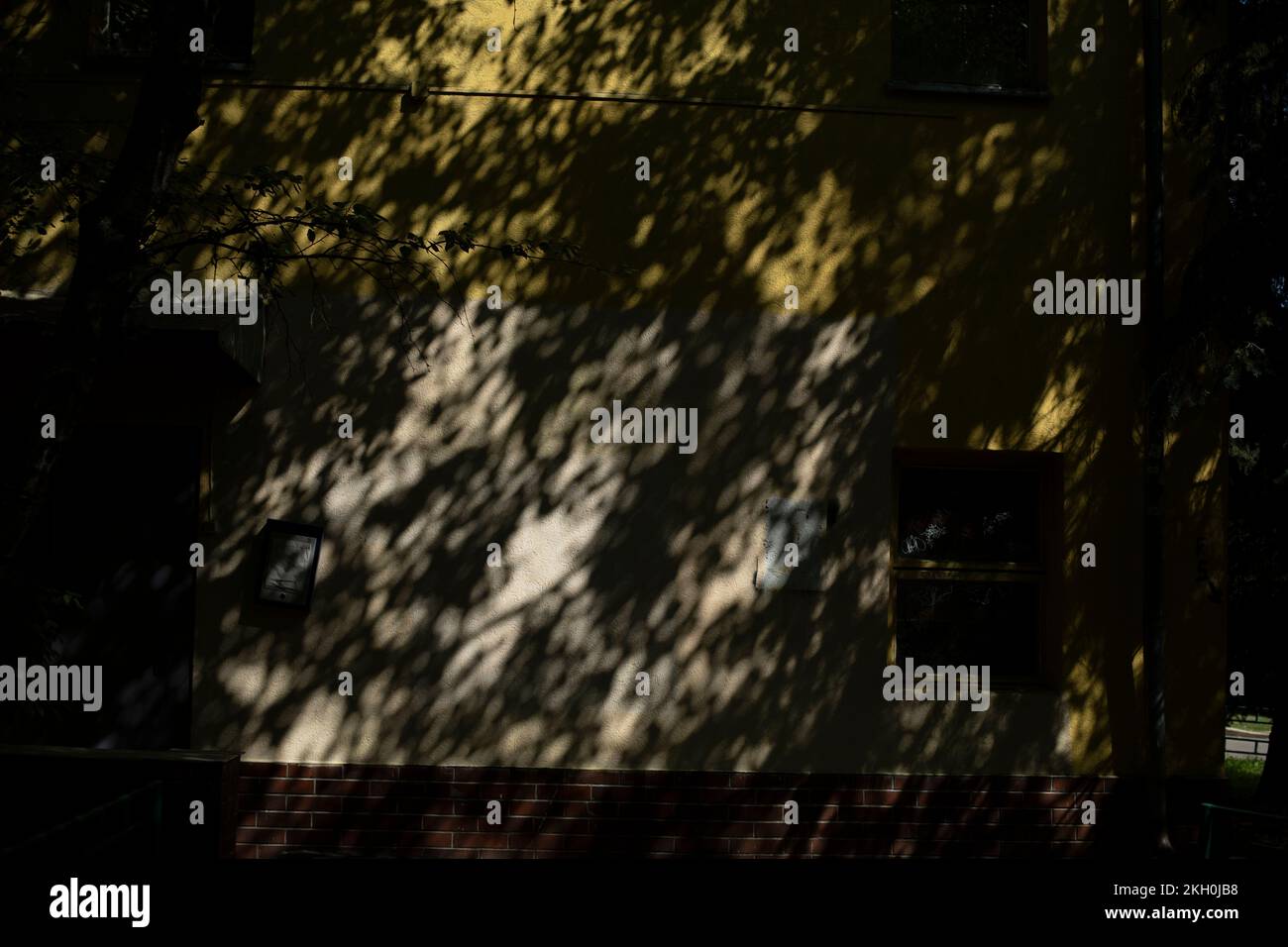 Light and shadow on wall. Shadow drawing on building. Silhouette of plant. Expressive pattern. Stock Photo