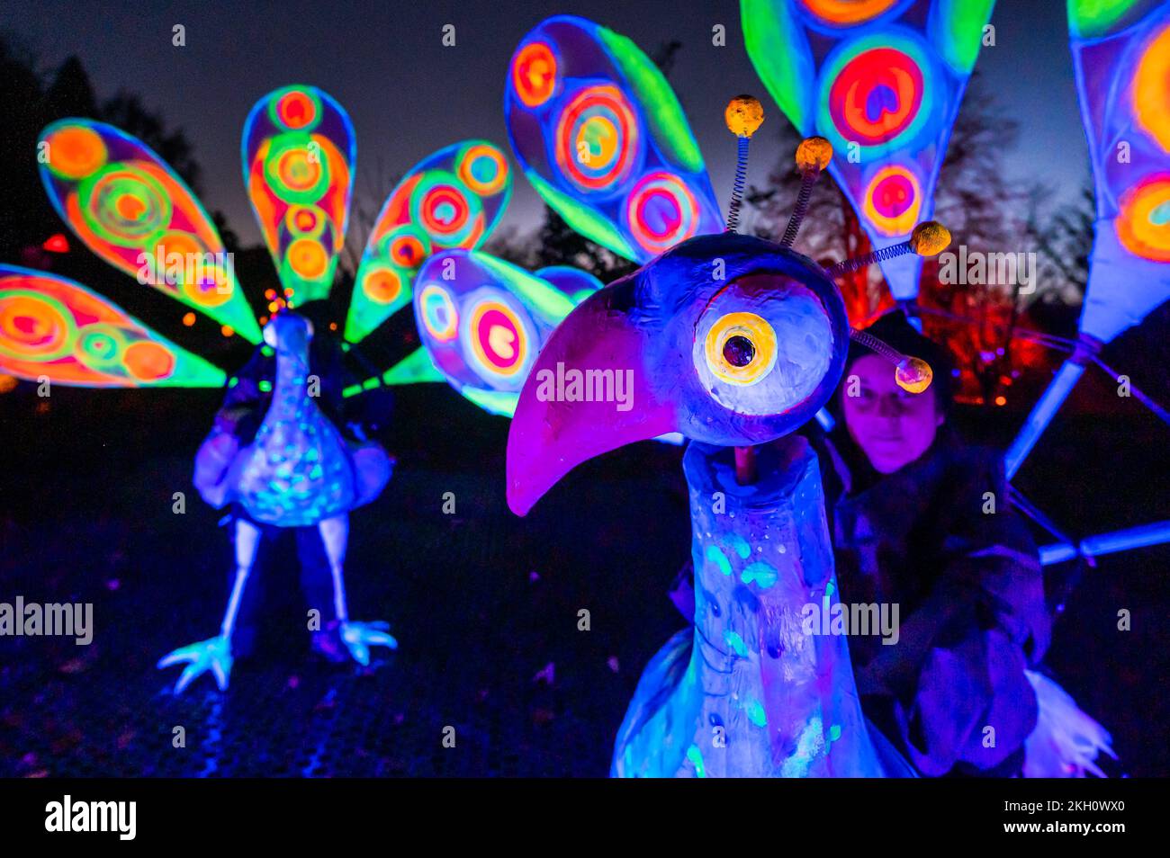 London, UK. 23rd Nov, 2022. Parading Puppets, Percy and Percie the