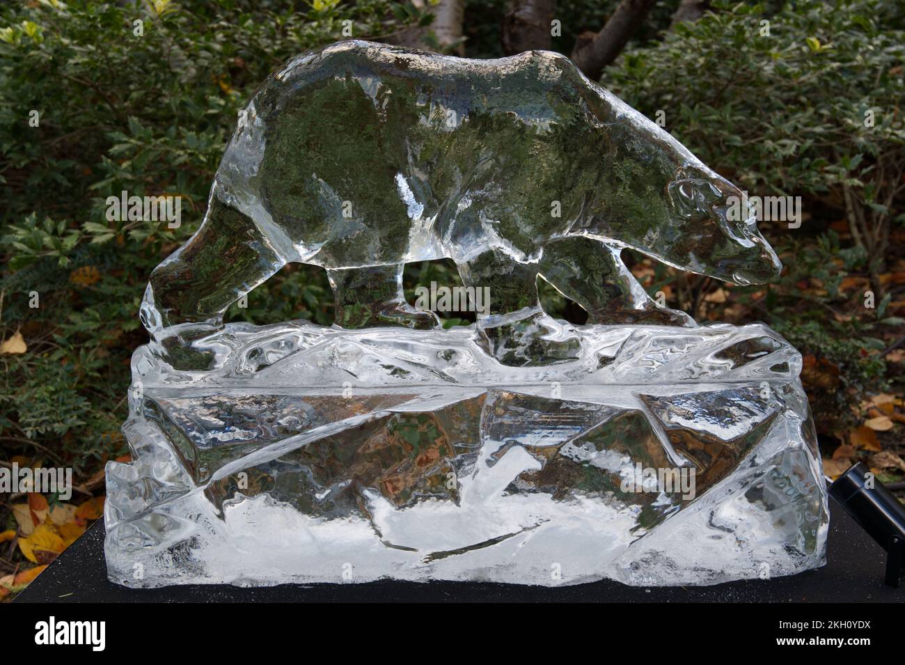 Ice sculpture at Canary Wharf Winter Ice festival Stock Photo - Alamy