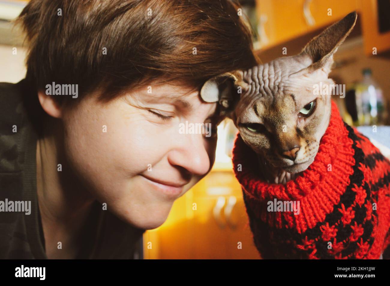 Woman loving cat. Rubbing her head on the cat's head. Beloved Canadian