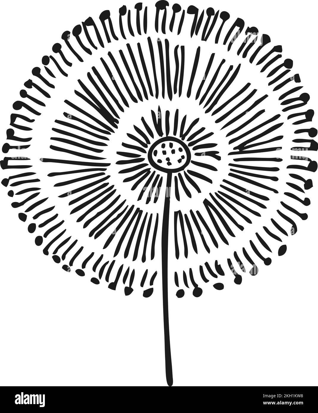 Doodle dandelion drawing. Black ink natural flower Stock Vector
