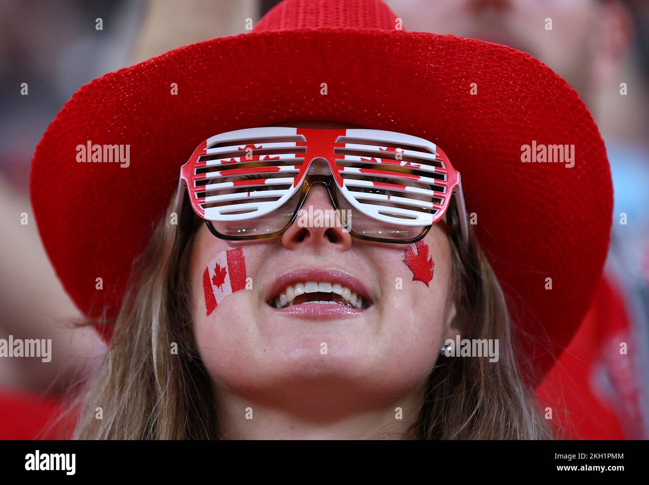 Fans in fancy dress during hi-res stock photography and images - Alamy