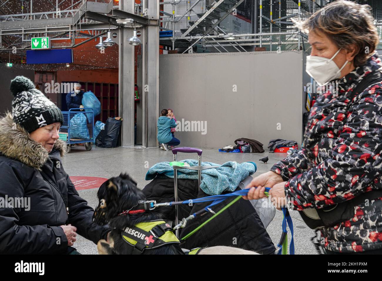 Two women from Ukraine arrived with their rescue dog at Munich central station.The dog is wearing a muzzle. He is sitting on a woman's lap with two paws. Stock Photo