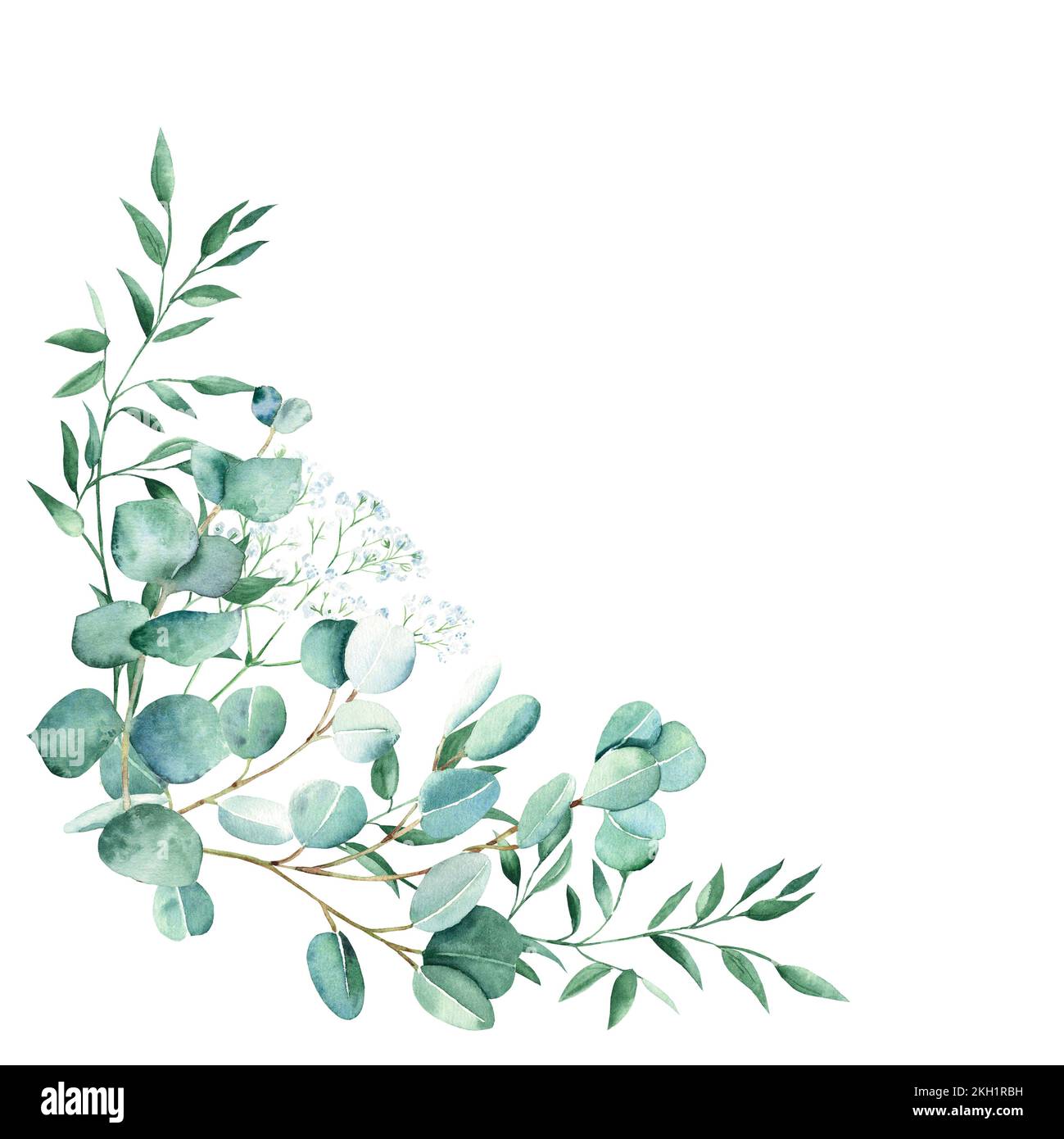 Watercolor foliage bouquet, corner. Eucalyptus, gypsophila and