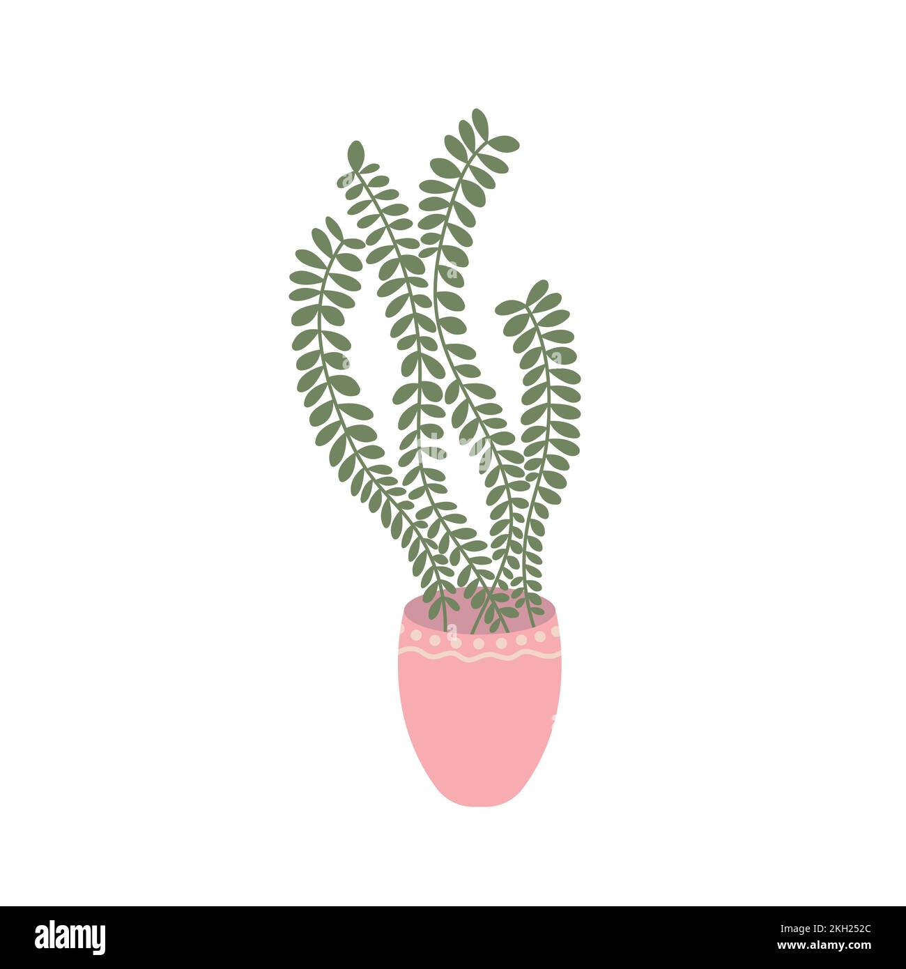 Vector flat style house plant illustration Stock Vector Image & Art - Alamy