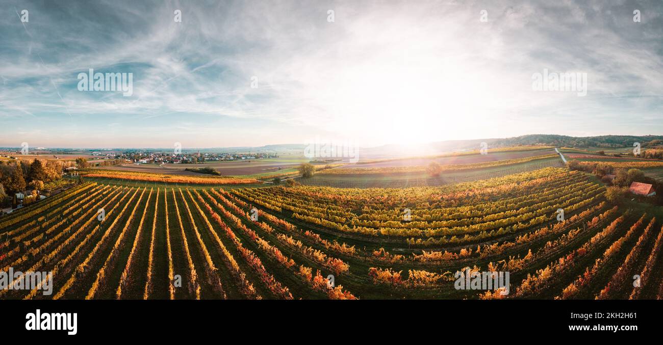 Colorful vineyards fields from above during sunset in autumn. View to Enzersfeld in the Austrian Weinviertel region. Stock Photo