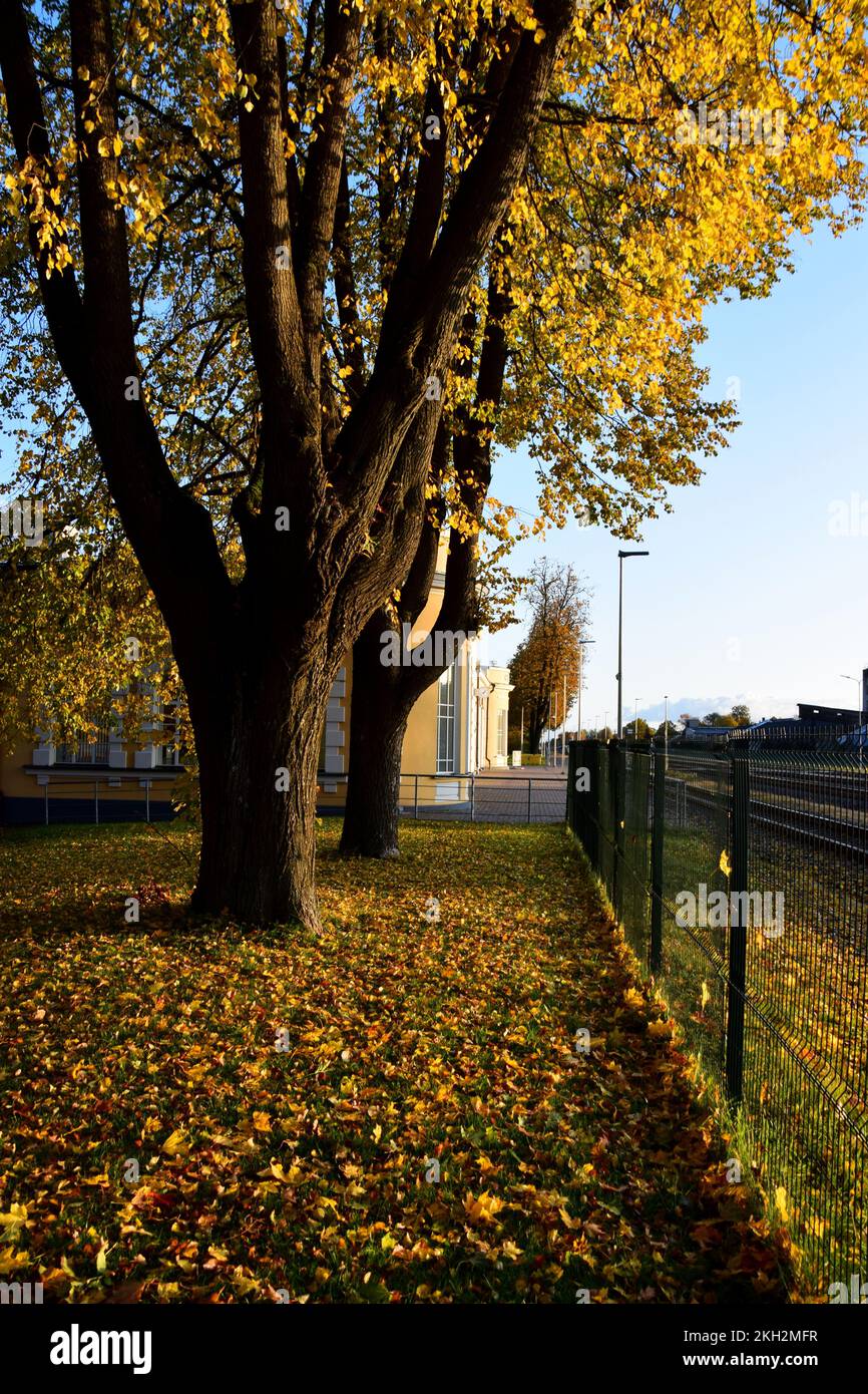 The beautiful autumn in the neighborhood Stock Photo Alamy