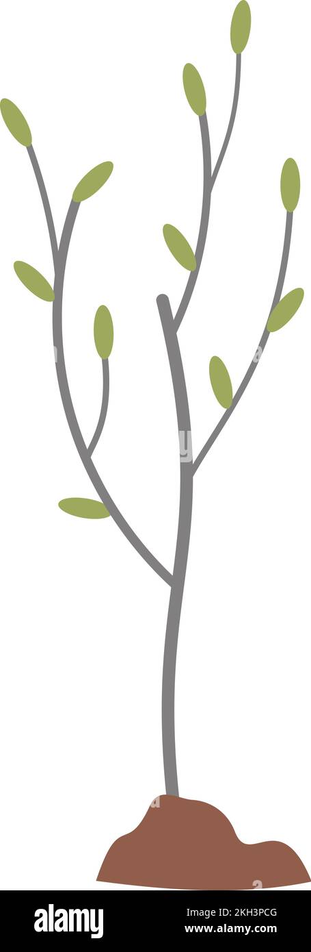 Sapling icon. Growing young tree. Gardening plant isolated on white ...