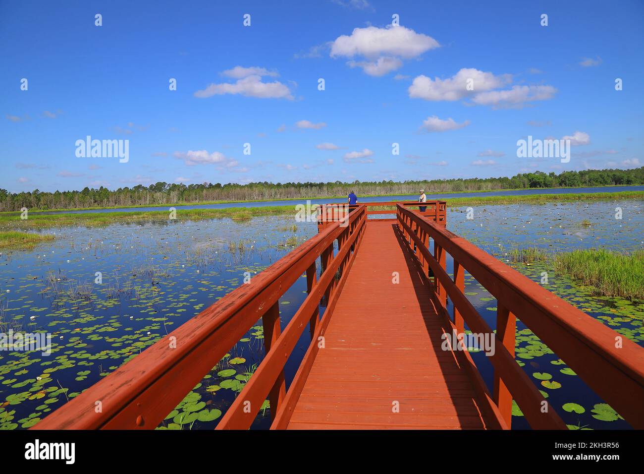 Pier at Tiger Bay State Forest Stock Photo Alamy