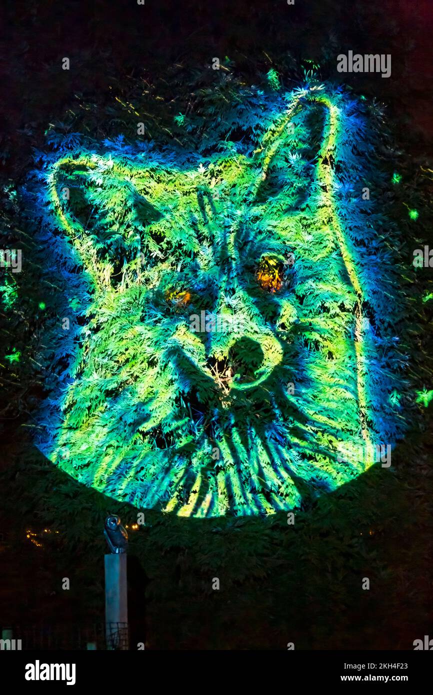 Romsey, Hampshire UK. 23rd November 2022. Preview evening of Light Up