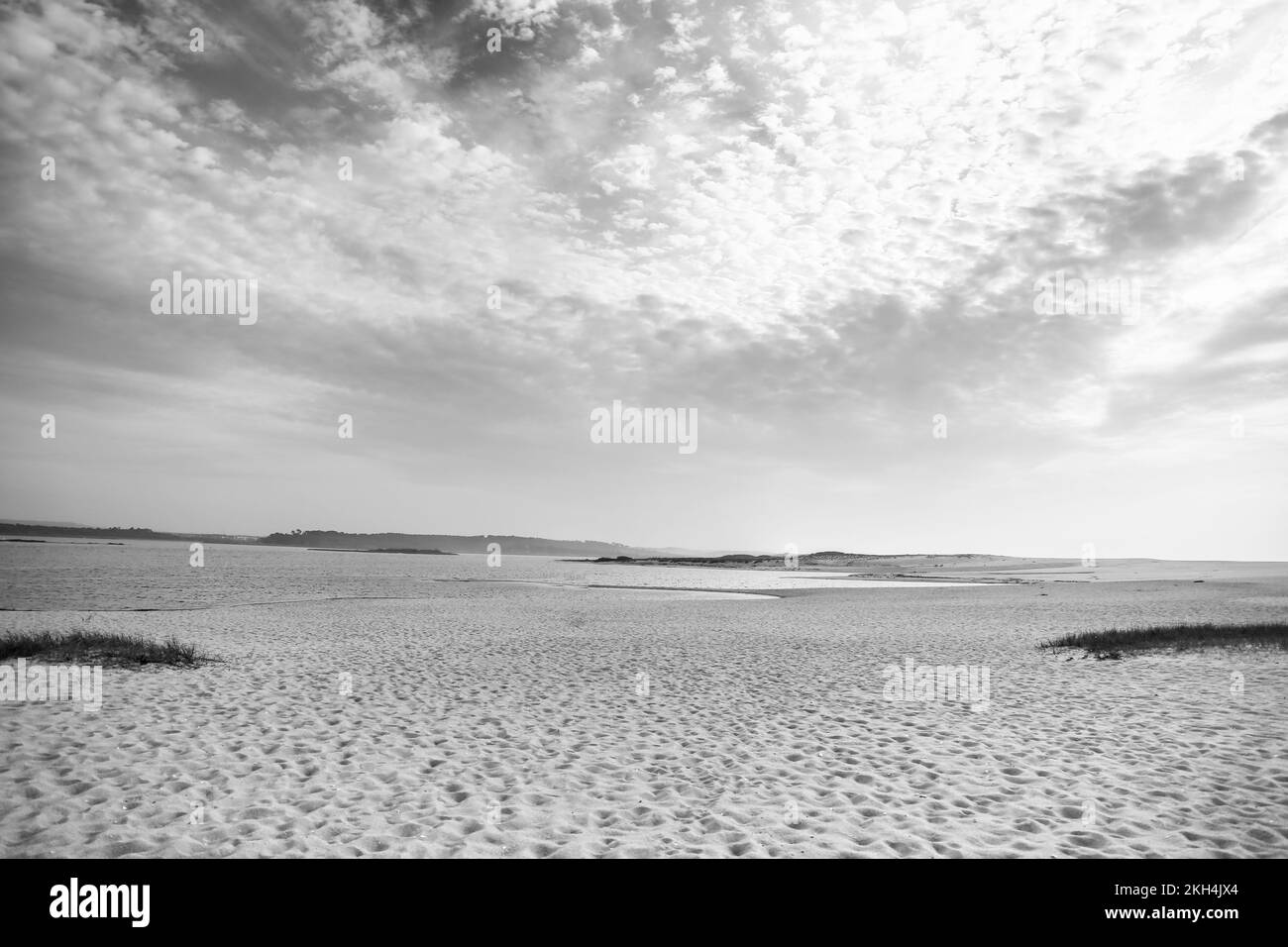 Natural Reserve of the Lagoons of Santo Andre and Sancha in the Alentejo region in Portugal Stock Photo