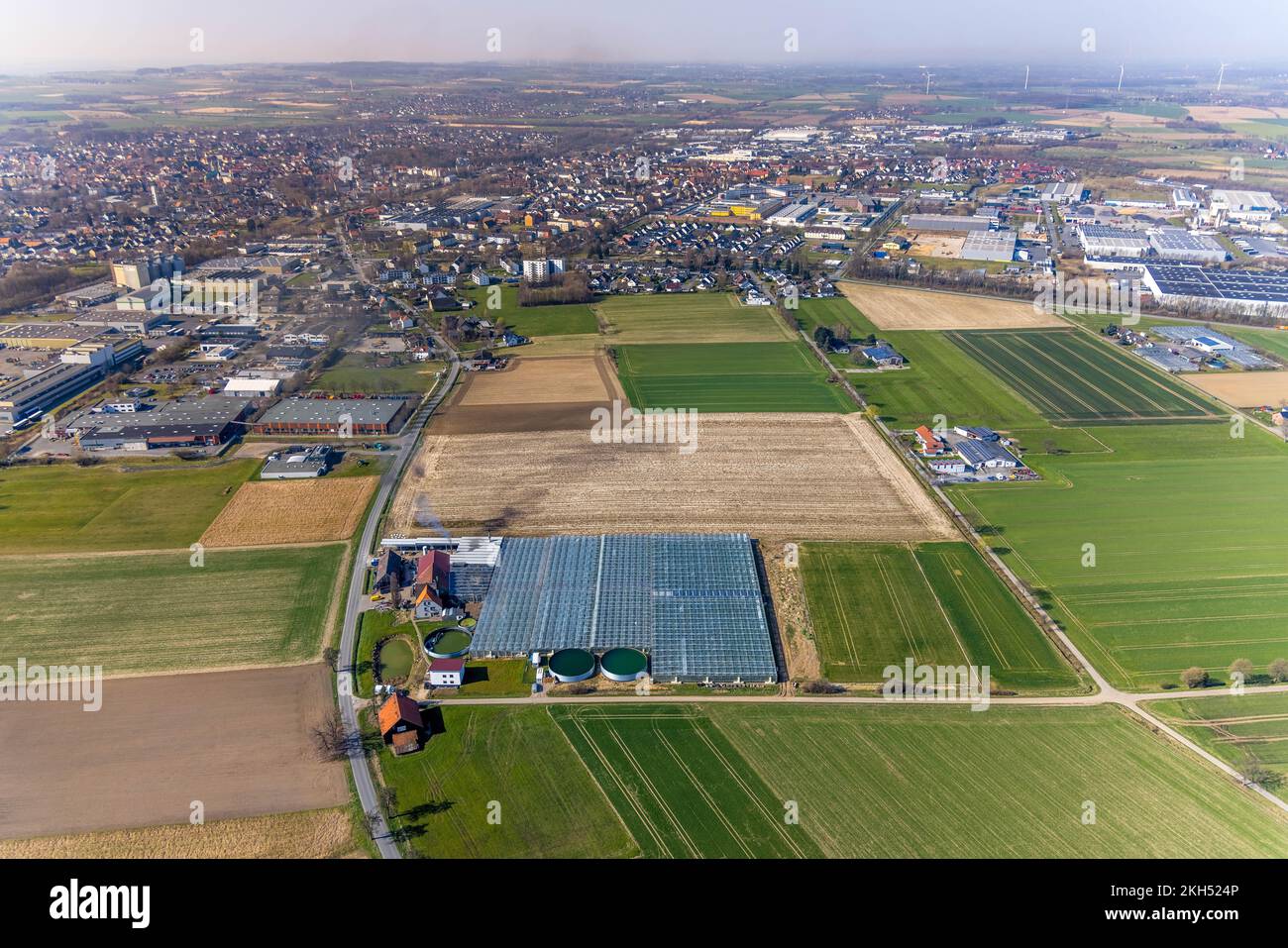 Aerial view, agricultural farm Gartenbau Stemann and view to Werl, Werl, Soester Börde, North Rhine-Westphalia, Germany, DE, Europe, Agriculture, Agri Stock Photo