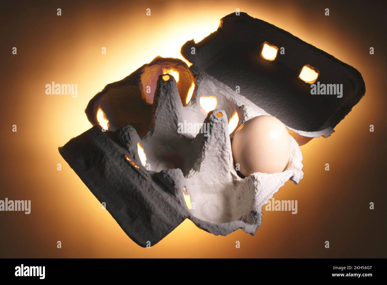Egg on Egg Carton Stock Photo Alamy