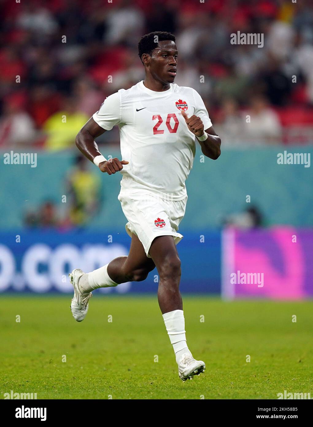 Canada's Jonathan David during the FIFA World Cup Group F match at the(02)