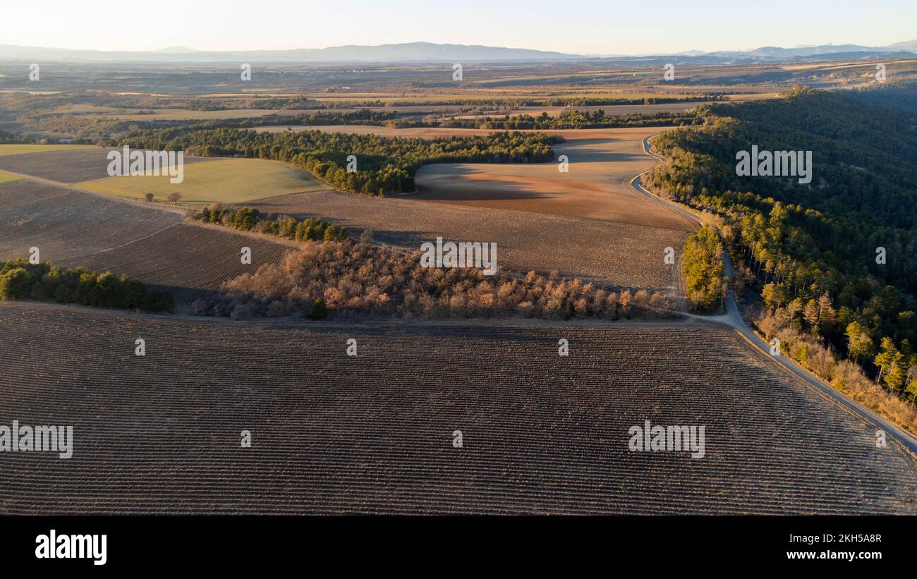 Aerial view of Valensole plateau lavender field at winter, at sunset, in National park of Verdon, in France, in Provence, in Europe. Stock Photo